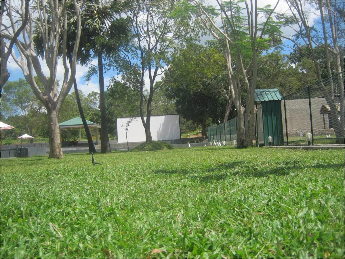 Gunners' Club - Minneriya Esterno foto